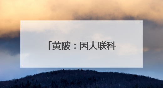 黄陂：因大联科一期开园 首批14家企业入驻