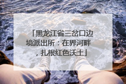 黑龙江省三岔口边境派出所：在界河畔，扎根红色沃土