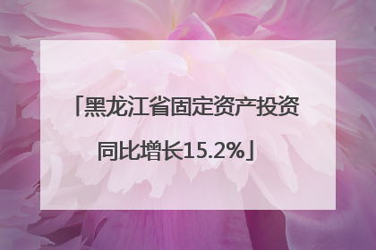 黑龙江省固定资产投资同比增长15.2%