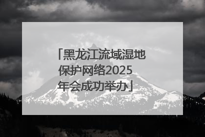 黑龙江流域湿地保护网络2025年会成功举办