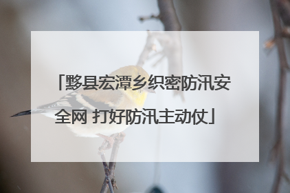 黟县宏潭乡织密防汛安全网 打好防汛主动仗