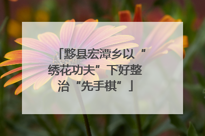 黟县宏潭乡以“绣花功夫”下好整治“先手棋”