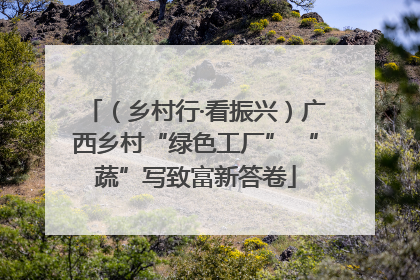 （乡村行·看振兴）广西乡村“绿色工厂” “蔬”写致富新答卷