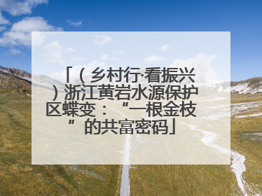 （乡村行·看振兴）浙江黄岩水源保护区蝶变：“一根金枝”的共富密码