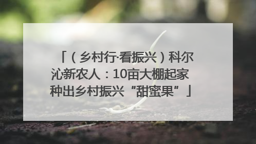 （乡村行·看振兴）科尔沁新农人：10亩大棚起家种出乡村振兴“甜蜜果”