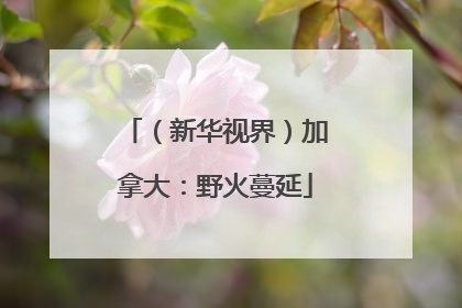 （新华视界）加拿大：野火蔓延