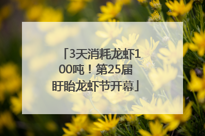 3天消耗龙虾100吨！第25届盱眙龙虾节开幕