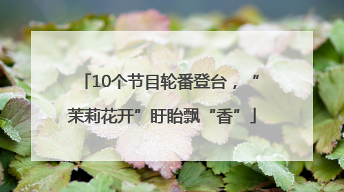 10个节目轮番登台，“茉莉花开”盱眙飘“香”