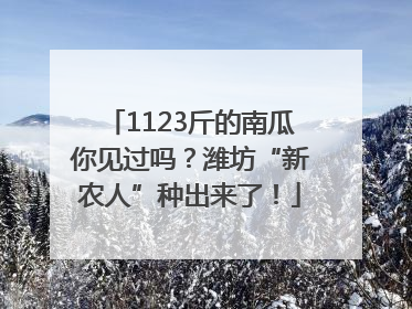 1123斤的南瓜你见过吗？潍坊“新农人”种出来了！