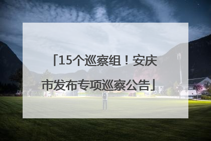 15个巡察组！安庆市发布专项巡察公告