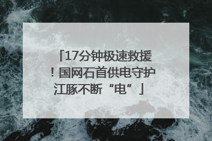 17分钟极速救援！国网石首供电守护江豚不断“电”