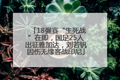 18强赛“生死战”在即，国足25人出征雅加达，刘若钒因伤无缘客战印尼