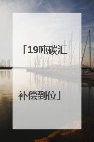 19吨碳汇补偿到位