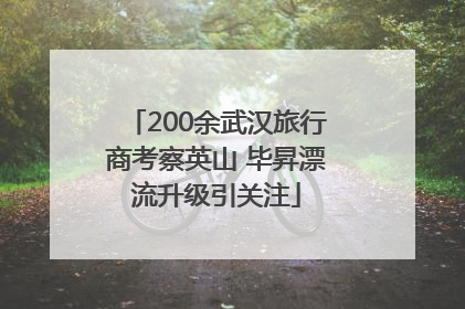 200余武汉旅行商考察英山 毕昇漂流升级引关注