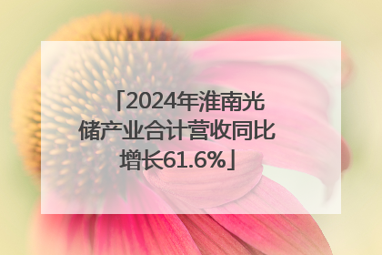 2024年淮南光储产业合计营收同比增长61.6%
