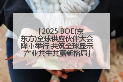 2025 BOE(京东方)全球供应伙伴大会隆重举行 共筑全球显示产业共生共赢新格局