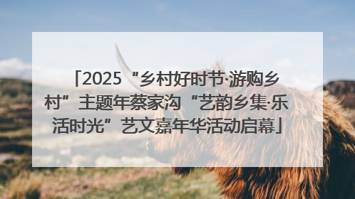 2025“乡村好时节·游购乡村”主题年蔡家沟“艺韵乡集·乐活时光”艺文嘉年华活动启幕
