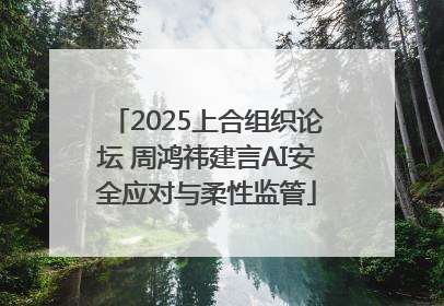 2025上合组织论坛 周鸿祎建言AI安全应对与柔性监管