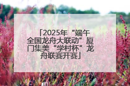 2025年“端午全国龙舟大联动”厦门集美“学村杯”龙舟联赛开赛