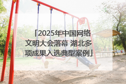2025年中国网络文明大会落幕 湖北多项成果入选典型案例