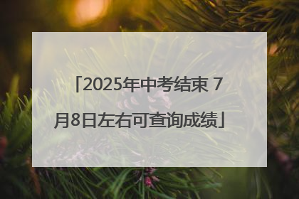 2025年中考结束 7月8日左右可查询成绩