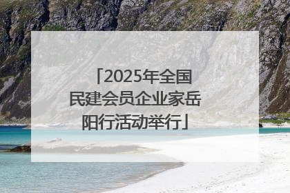 2025年全国民建会员企业家岳阳行活动举行