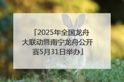2025年全国龙舟大联动暨南宁龙舟公开赛5月31日举办