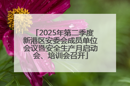 2025年第二季度新港区安委会成员单位会议暨安全生产月启动会、培训会召开