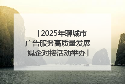 2025年聊城市广告服务高质量发展媒企对接活动举办