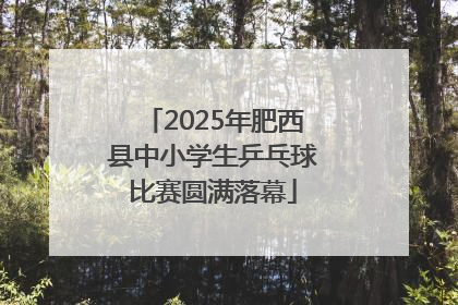 2025年肥西县中小学生乒乓球比赛圆满落幕