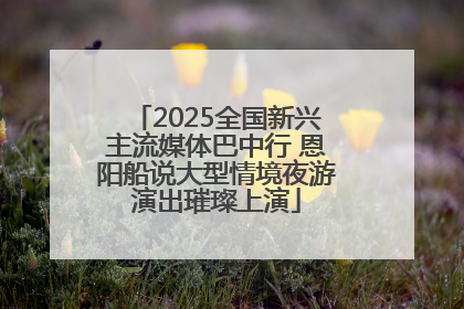 2025全国新兴主流媒体巴中行 恩阳船说大型情境夜游演出璀璨上演