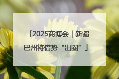 2025商博会｜新疆巴州将借势“出圈”