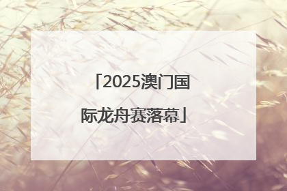 2025澳门国际龙舟赛落幕