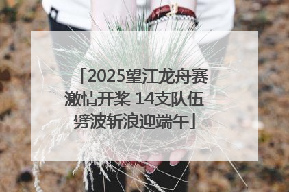 2025望江龙舟赛激情开桨 14支队伍劈波斩浪迎端午