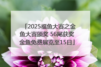 2025福鱼大赛之金鱼大赛颁奖 56尾获奖金鱼免费展览至15日