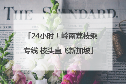 24小时！岭南荔枝乘专线 枝头直飞新加坡