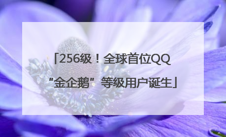 256级！全球首位QQ“金企鹅”等级用户诞生