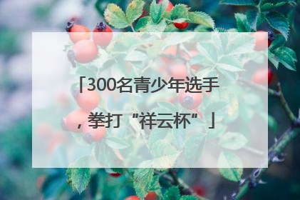 300名青少年选手，拳打“祥云杯”