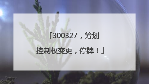 300327，筹划控制权变更，停牌！