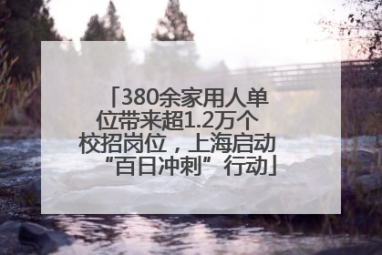 380余家用人单位带来超1.2万个校招岗位，上海启动“百日冲刺”行动