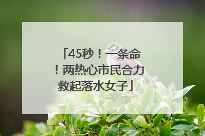 45秒！一条命！两热心市民合力救起落水女子