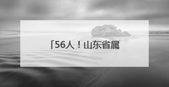 56人！山东省属事业单位招聘啦