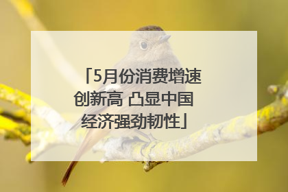 5月份消费增速创新高 凸显中国经济强劲韧性