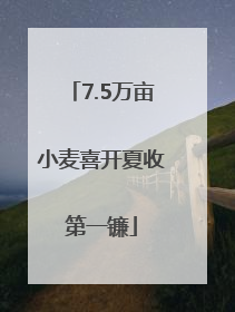 7.5万亩小麦喜开夏收第一镰
