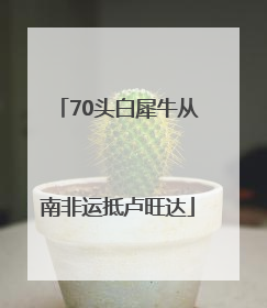 70头白犀牛从南非运抵卢旺达