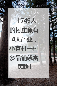 749人的村庄竟有4大产业，小官村一村多品铺就富民路