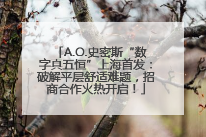 A.O.史密斯“数字真五恒”上海首发：破解平层舒适难题，招商合作火热开启！