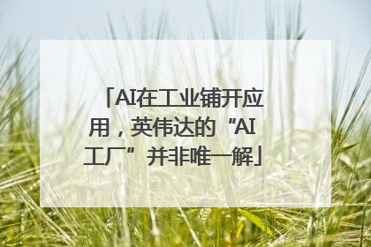 AI在工业铺开应用，英伟达的“AI工厂”并非唯一解