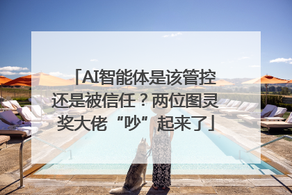 AI智能体是该管控还是被信任？两位图灵奖大佬“吵”起来了